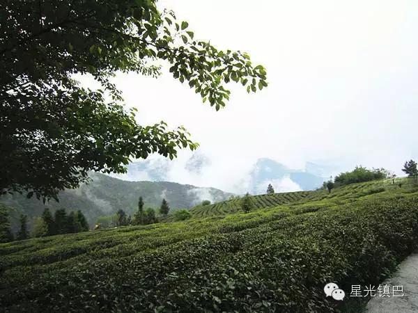 12岁辍学回农村种田,22岁小伙回陕西当农民