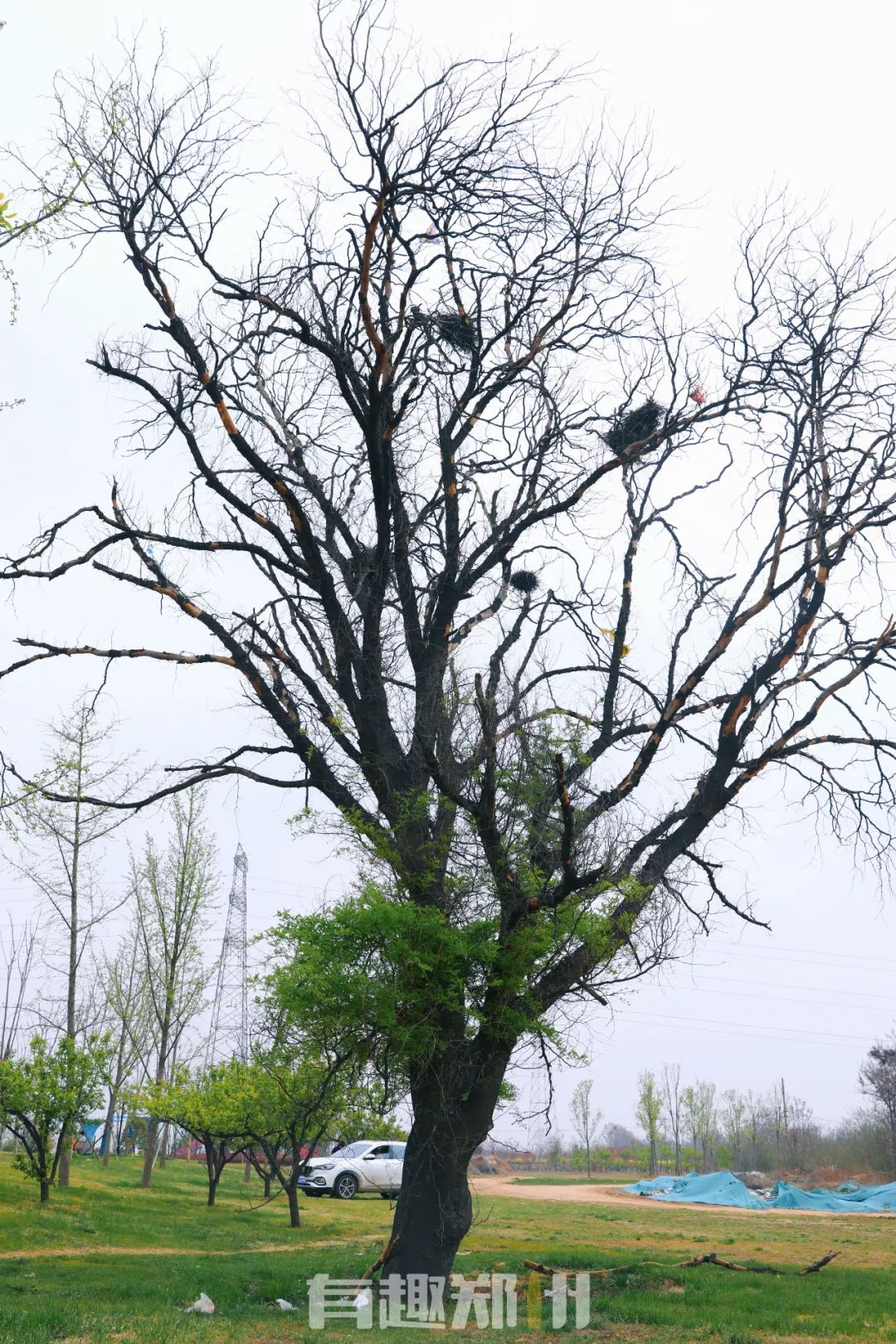 郑州周边人少清静有山有水的地方,郑州人少的公园适合野营
