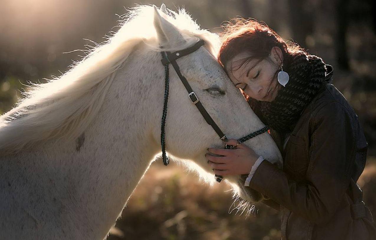 若是变心就无法挽回的三个星座,哪个星座不会主动挽回