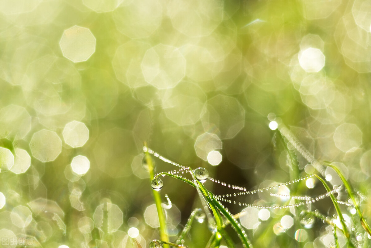 人在大自然面前是多么渺小诗句,人在大自然的面前多么的渺小