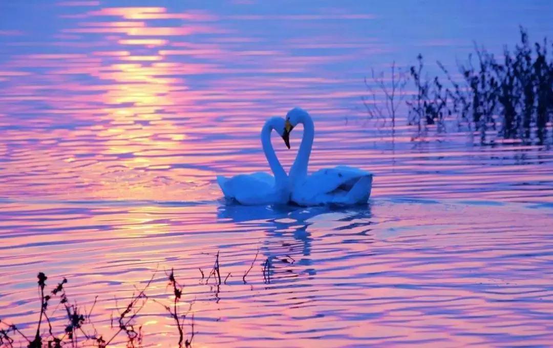 北方冬季适合吃的海鲜,北方冬天适合去的海滨小城