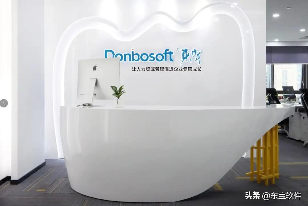 东宝软件核心愿景,东宝软件的发展前景