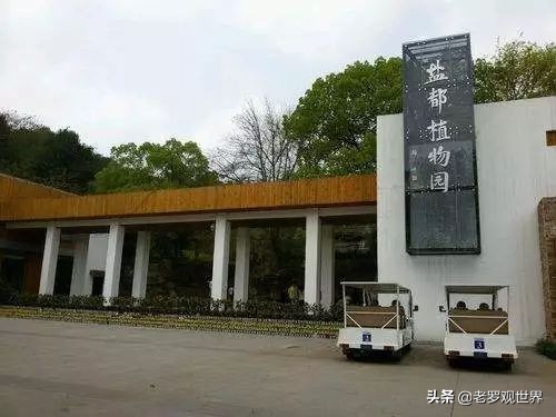 请回答，自贡90后！