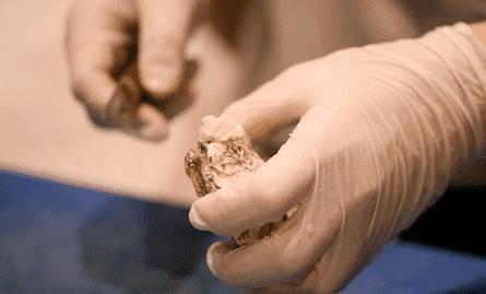 抚顺万达嘉华酒店自助餐,万达嘉华酒店自助餐