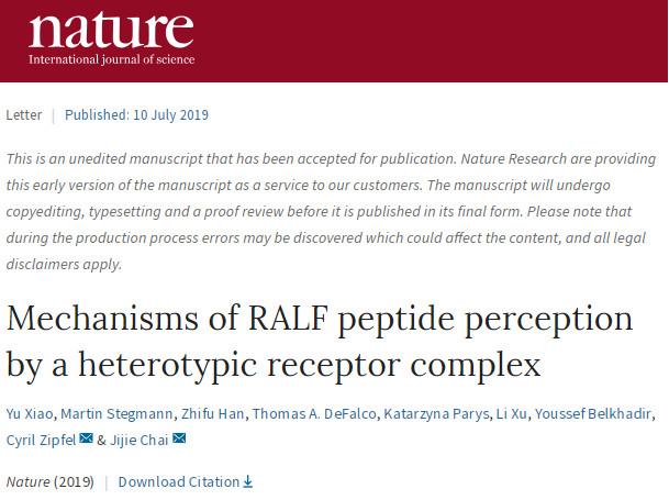冷冻电镜最新研究,冷冻电镜研究成果涌现
