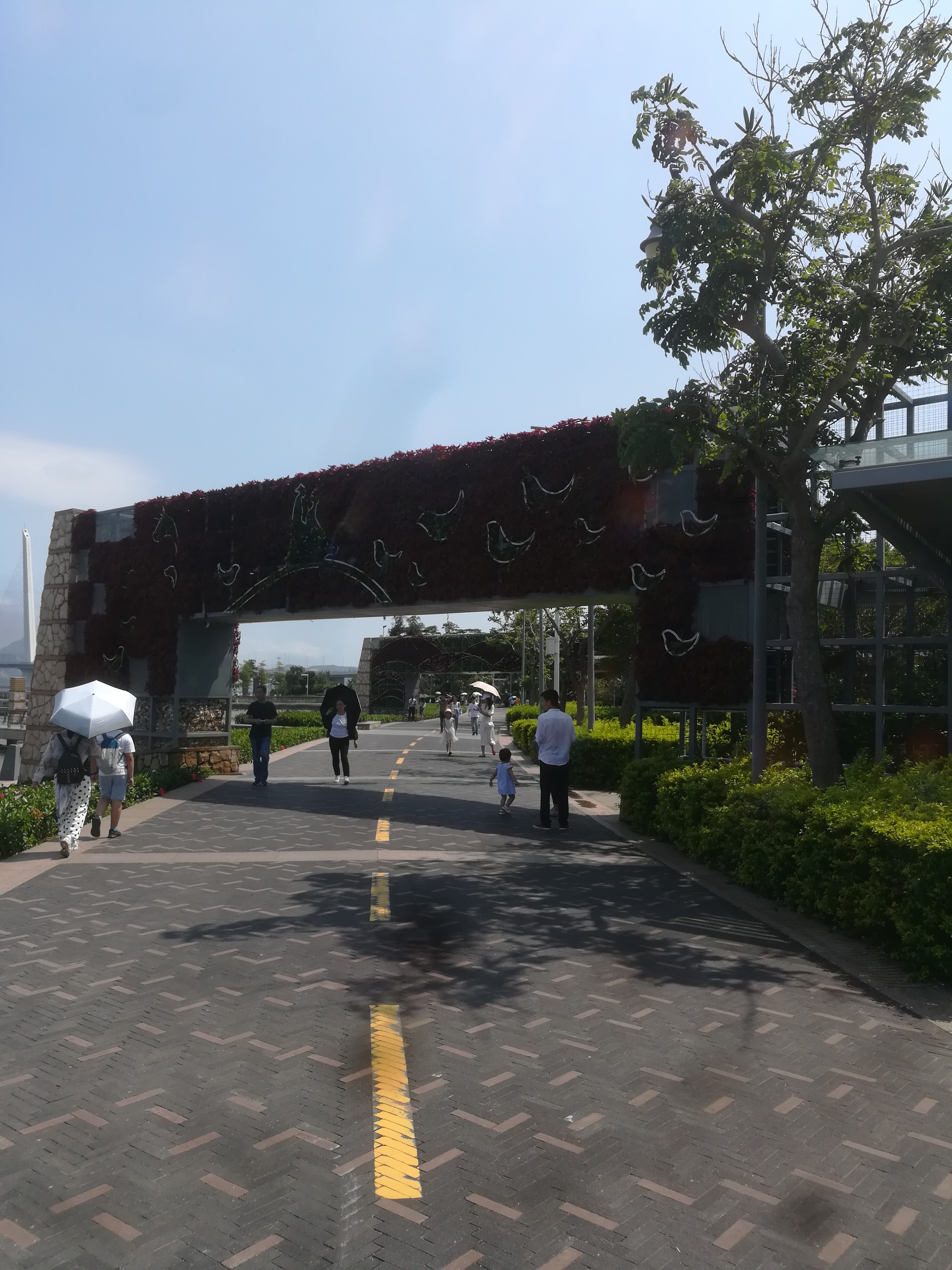 深圳湾公园停车场攻略,深圳湾运动公园沙滩