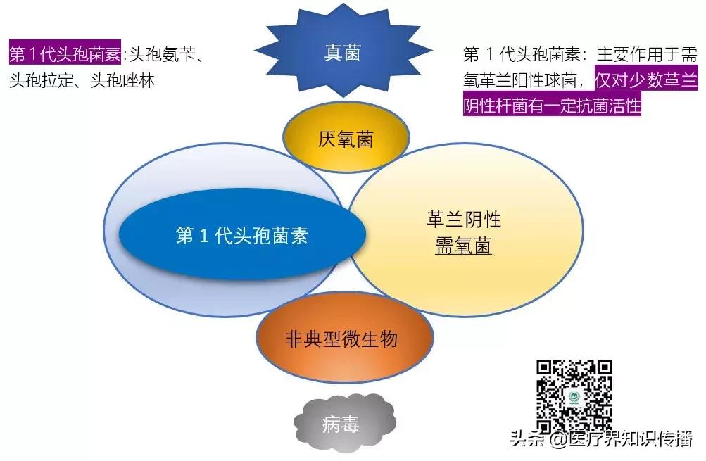 抗菌药谱大全及图片,抗菌谱图解大全
