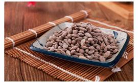 无聊的终结者，一颗吊瓜子足矣