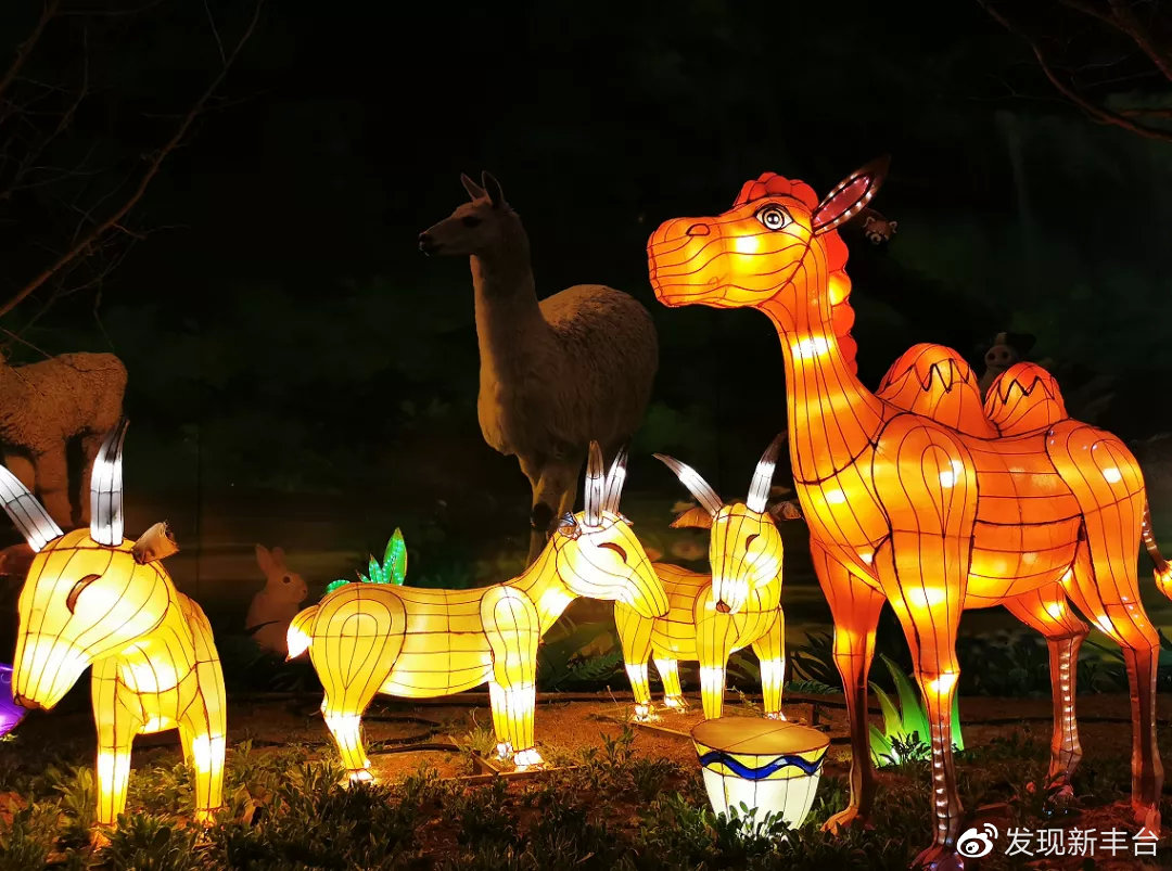 【FENG爆】5·19中国旅游日——*情纵**丰台，感受无限美景！