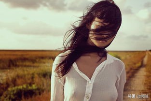 首发和原创区别,左阿勤原创首发