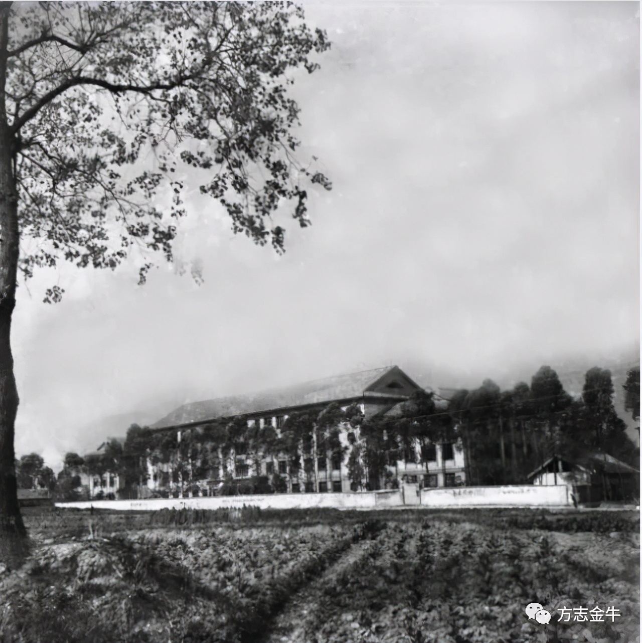 成都学校老照片,成都军区军医学校老照片