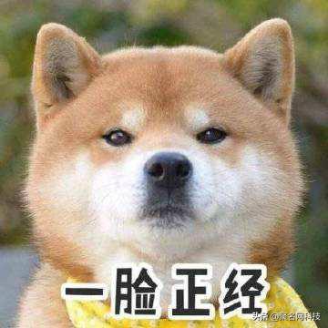 世界最顶级域名,世界上最长的网文