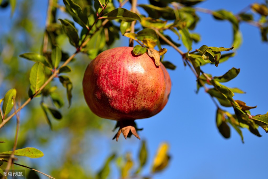 牛街属于南城吗,牛街名字的由来