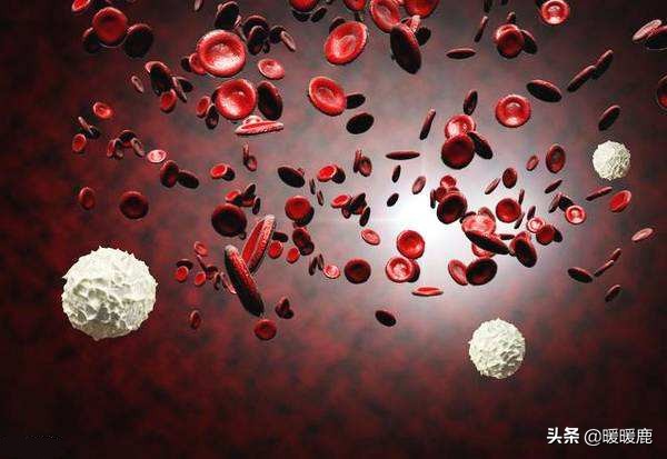 孕妇血常规的血红蛋白、血细胞和血小板代表什么,孕期贫血怎么办