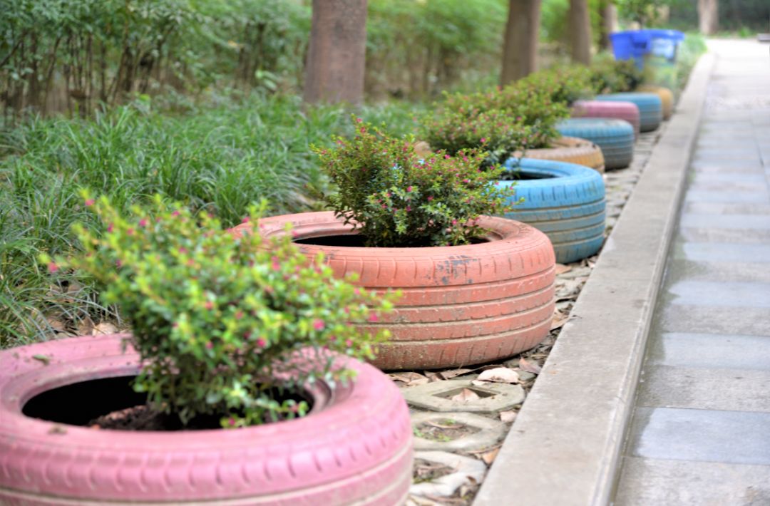 垃圾分类表扬,垃圾分类带来小区品质提升