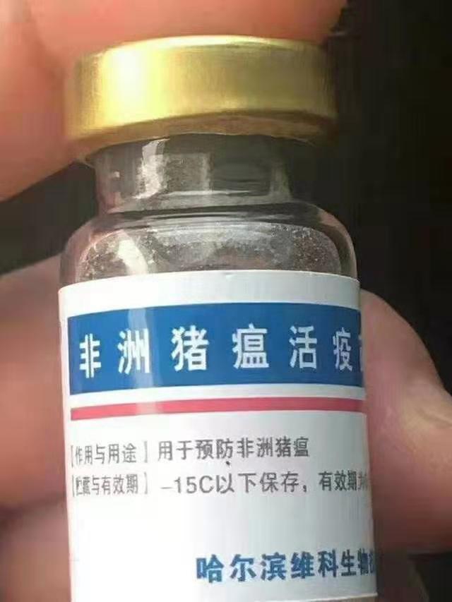 网络疯传的非洲猪瘟疫苗，竟是假货！养殖朋友们可要擦亮双眼