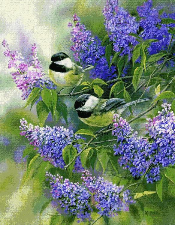 我的家庭相册视频教程,我的家庭相册细节