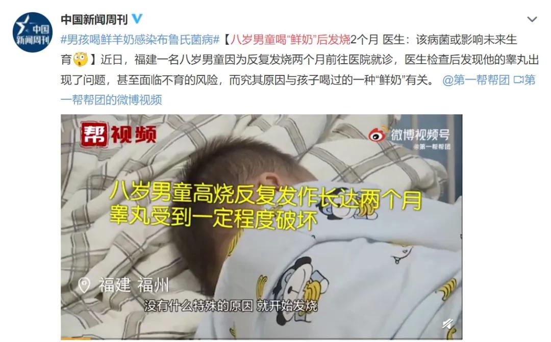 wenno：8岁男孩喝鲜奶发烧2个月：一篇文章说清牛奶的4个常见问题