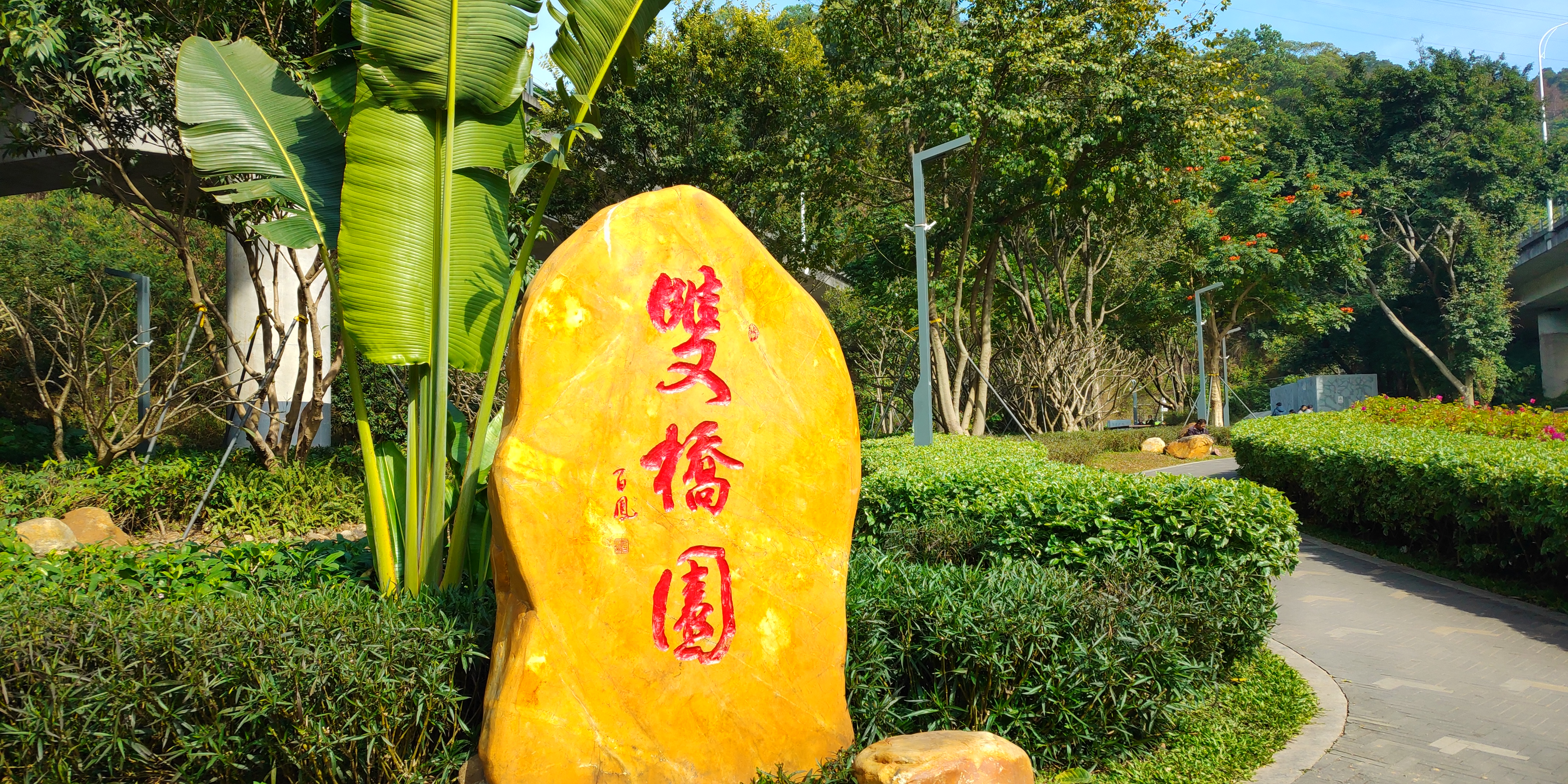 深圳罗湖绿道淘金山绿道攻略,深圳梧桐山绿道徒步攻略