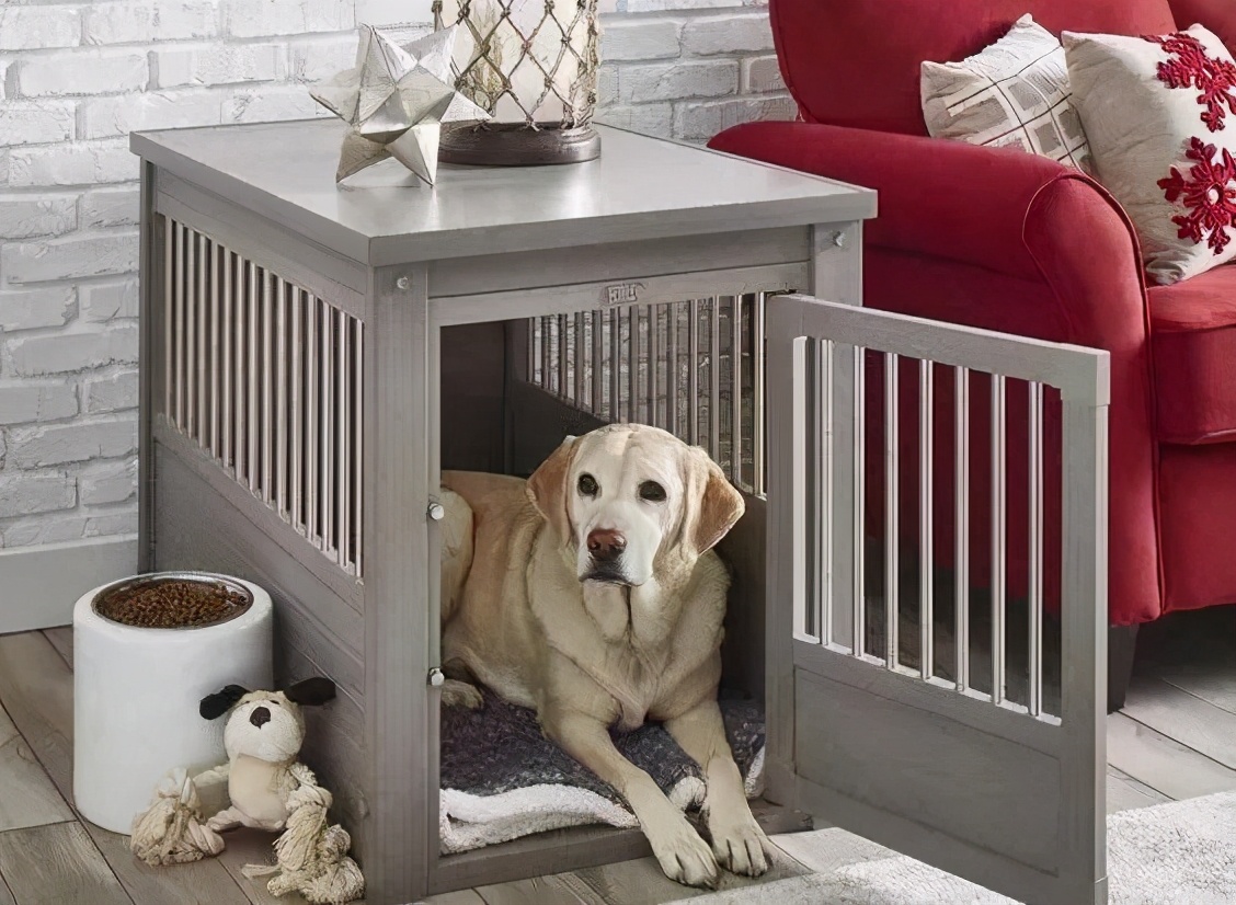 戈赞宠物,戈赞养宠物视频大全