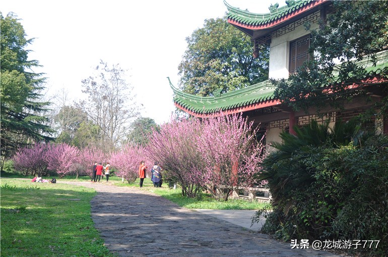 重游天一度假村,重游旧地去哪玩