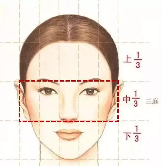 中庭短显年轻还是显老,中庭长怎么避免显老