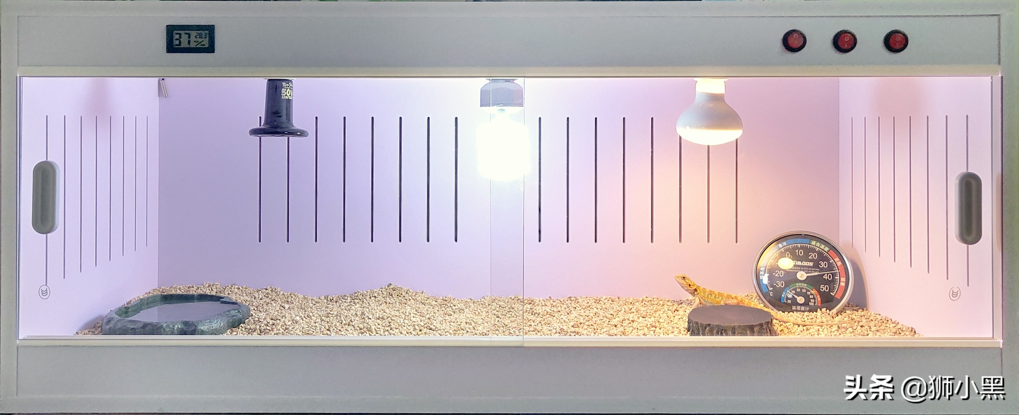 鬃狮蜥饲养套件,鬃狮蜥饲养硬件