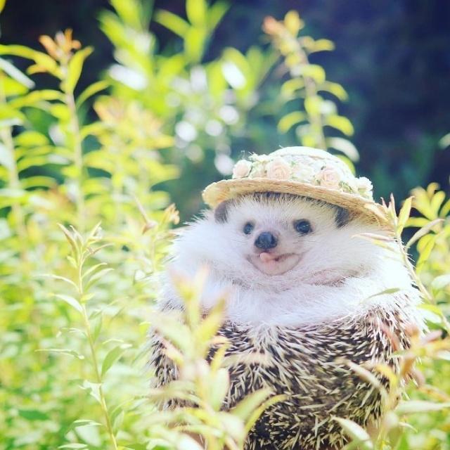 幽默讽刺噎死人的短句,精辟幽默到噎死人的短句