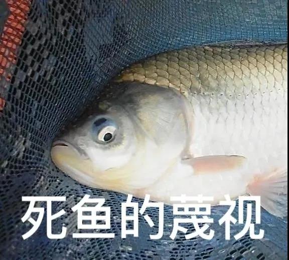 横县鱼生二十四种配料,舌尖上的广西横县鱼生第一刀