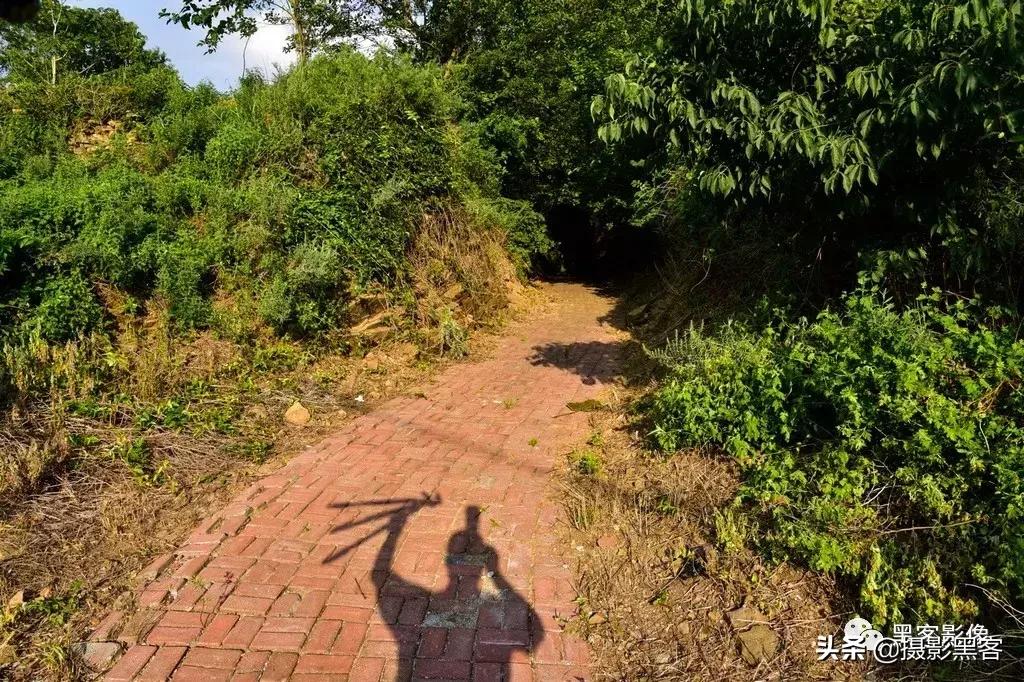 精致小青岛，秀美渔村入画来