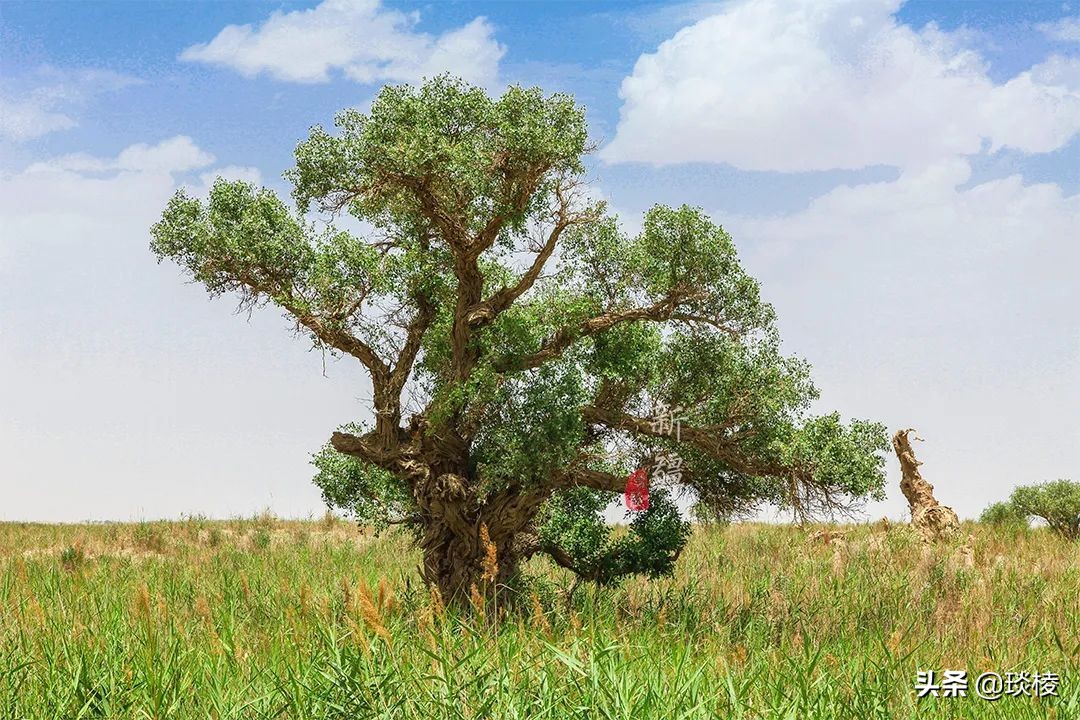 中国66号公路旅游攻略,中国自驾游66条经典线路