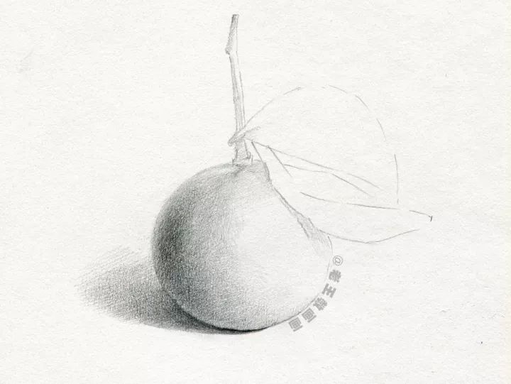 会画画的都会画素描吗,有的人说我不会画素描