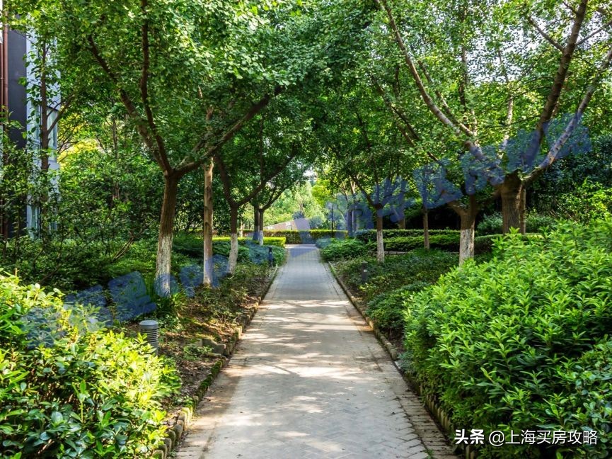 鍓嶆哗璞崕鏁欒偛璧勬簮,鍓嶆哗鏁欒偛璧勬簮