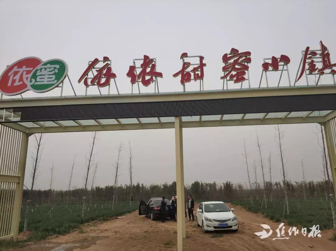 记者走基层｜焦作这个硕士返乡创业，帮老乡发家致富