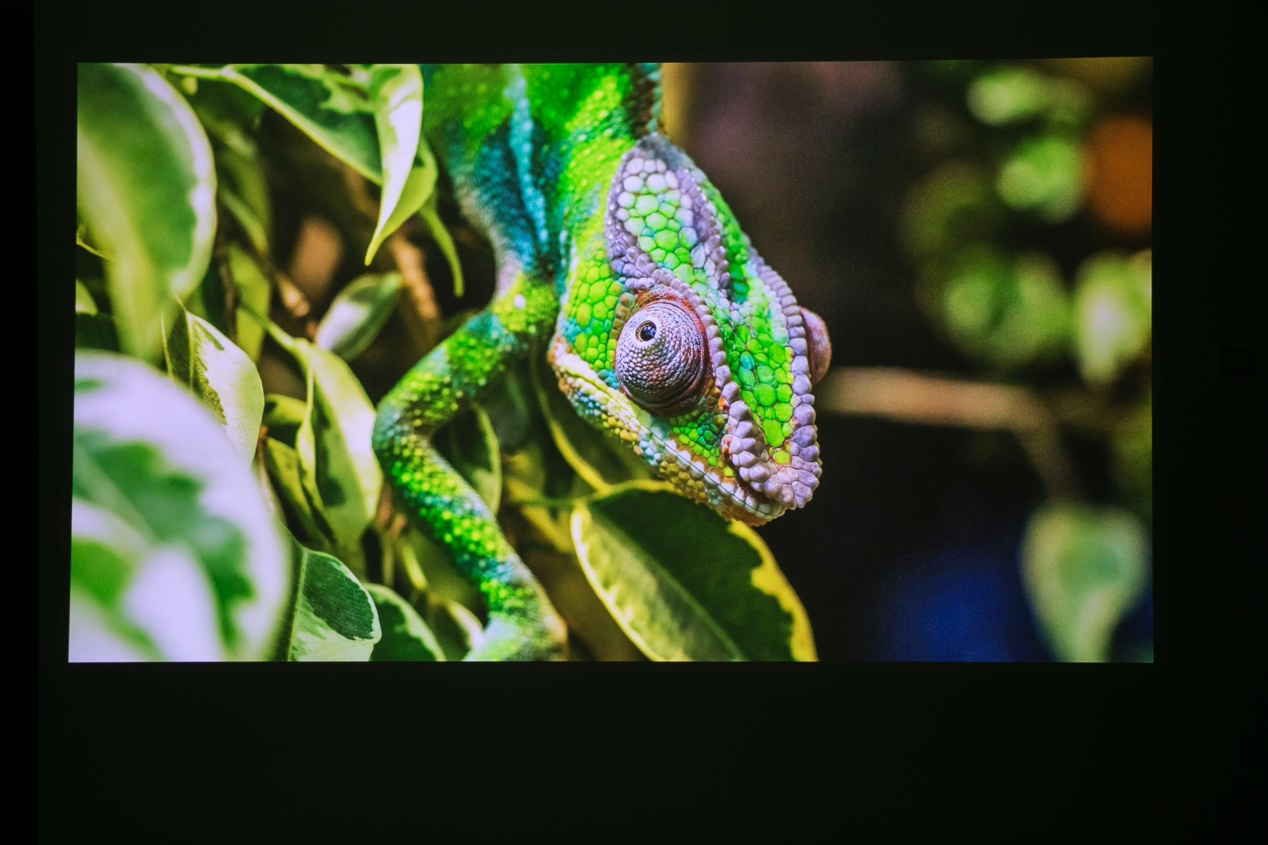 坚果j9白天测试,坚果j9幕布