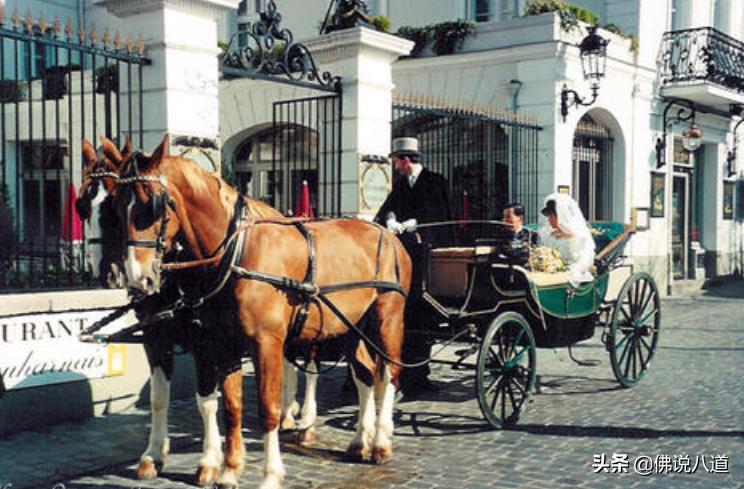经历风雨见彩虹勇往直前,经历风雨见彩虹抖音版