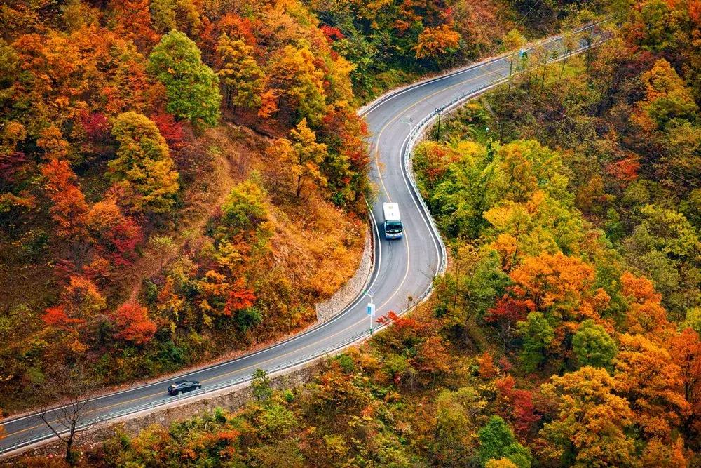 10月旅行地推荐最适合初秋出游,10月最适合慢慢旅游的地方