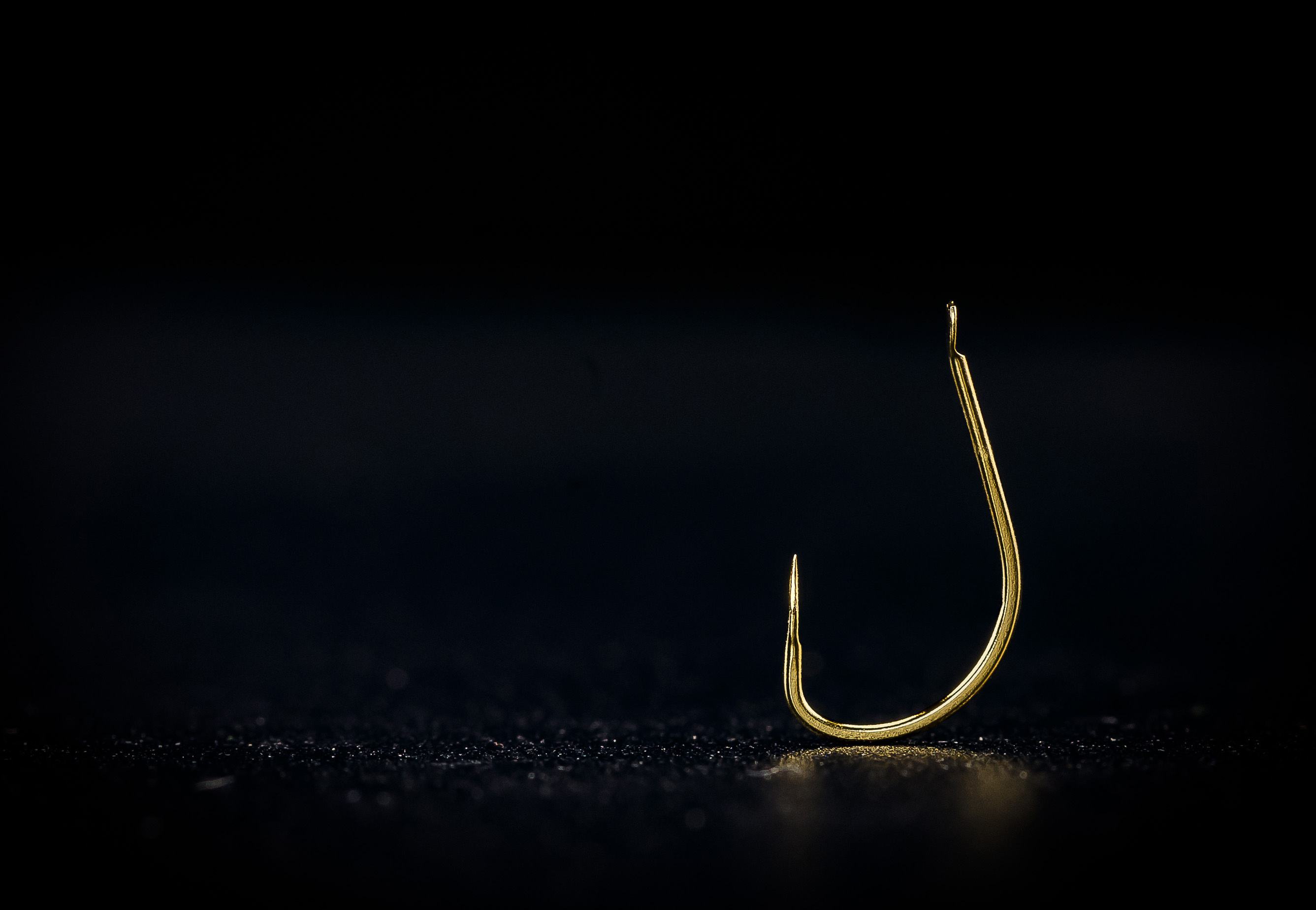 渔具店老板的秘密,渔具店老板打死不说的秘密