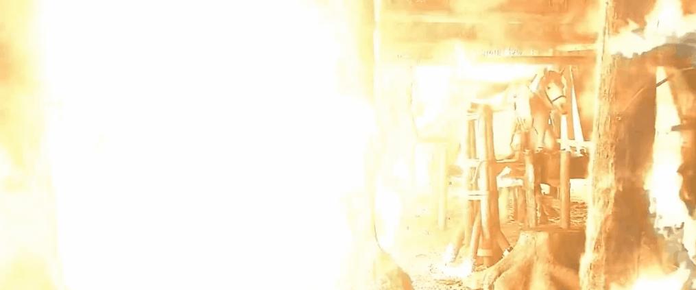 十年前被骂的电影有哪些,当年被人骂烂的电影