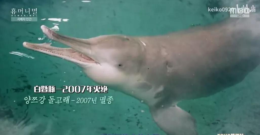 15岁怀孕，她被骗吃下*药炸**，一尸两命：有些人，这辈子不配为人