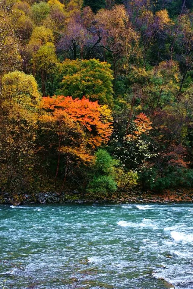 四川一条路途经全是石头的山,四川红叶一日游攻略