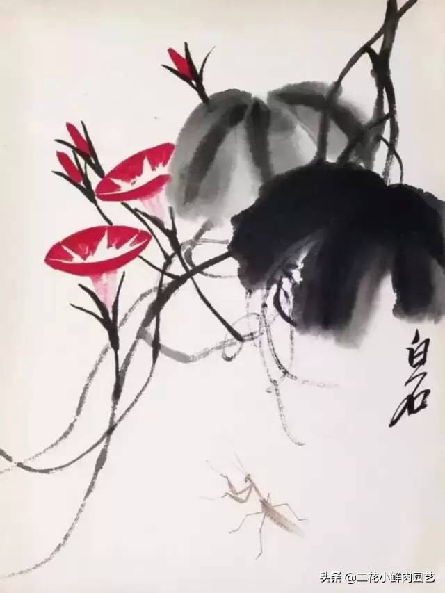 100种花卉绘画,100多张花卉线描手稿素材赶快收藏