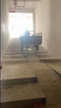 这只鹦鹉一直以为他是一只猴，所以每天都在重复做这个动作