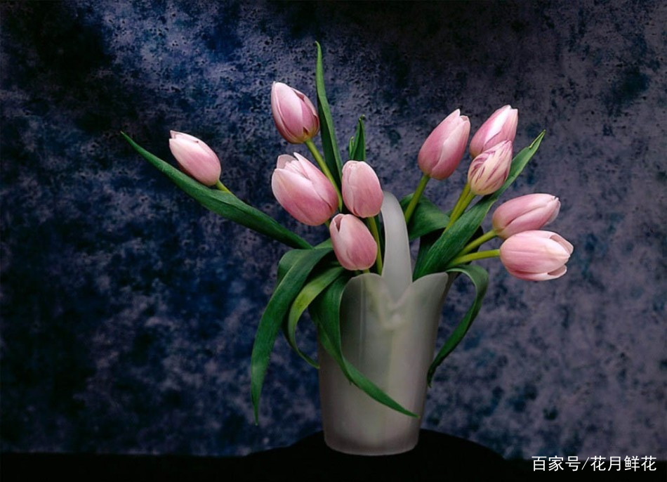 送长辈的鲜花花语,浪漫花语鲜花婚庆