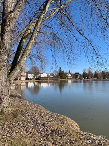 读书毁了我书籍,读书毁了我原文