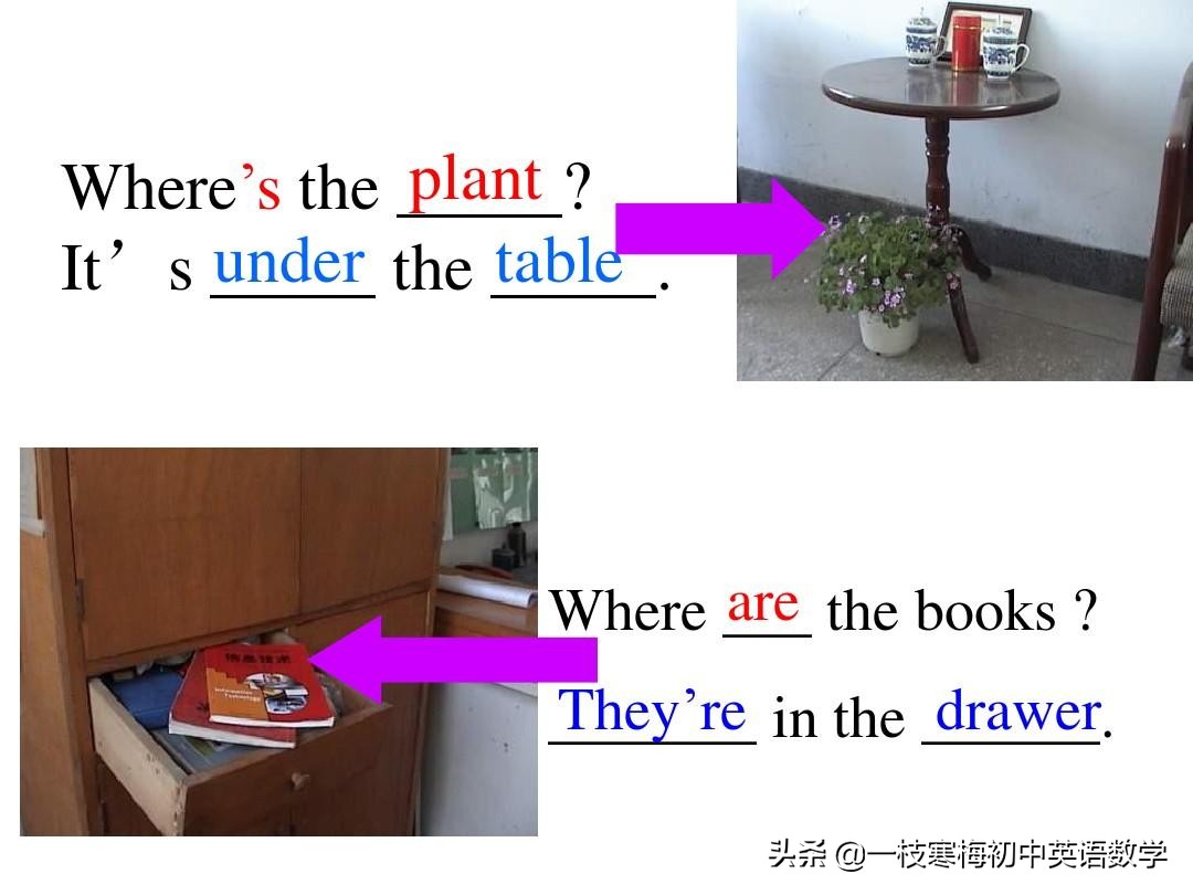 七年级上册英语第九单元section2b,七年级上册英语第八单元sectionb