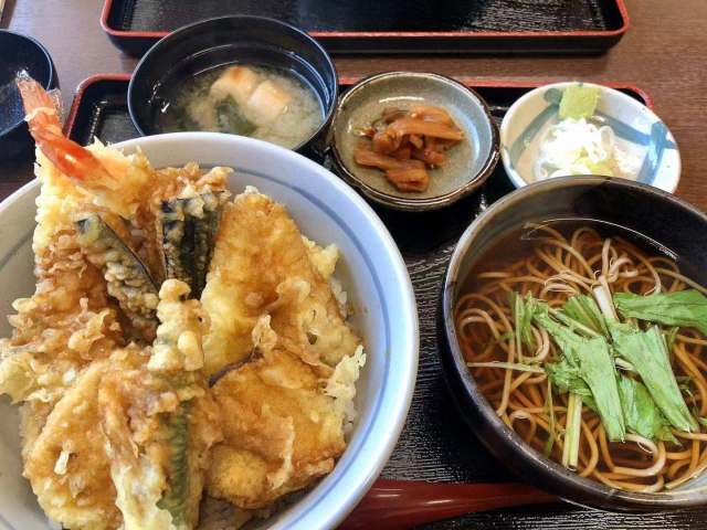 东京到镰仓和箱根攻略,东京箱根富士山镰仓