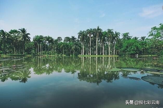 春节去云南定制旅游攻略 (云南旅游定制15天)