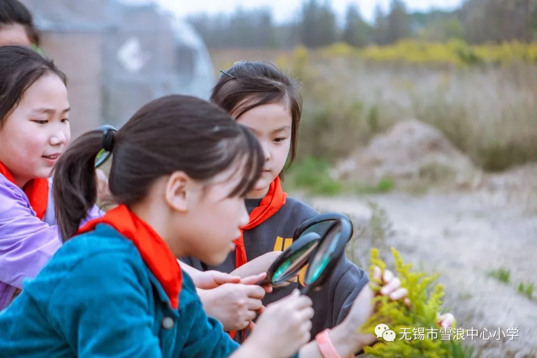 翻地、播种…无锡老小将课堂搬到了田间地头