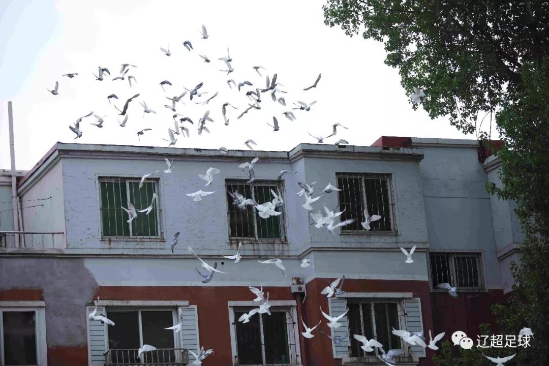 沈阳皇姑联赛,皇姑区足球比赛